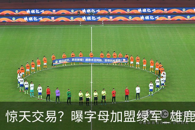 惊天交易？曝字母加盟绿军 雄鹿为布朗寻找第三方